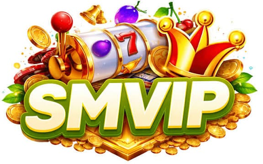 phsmvip.net Logo